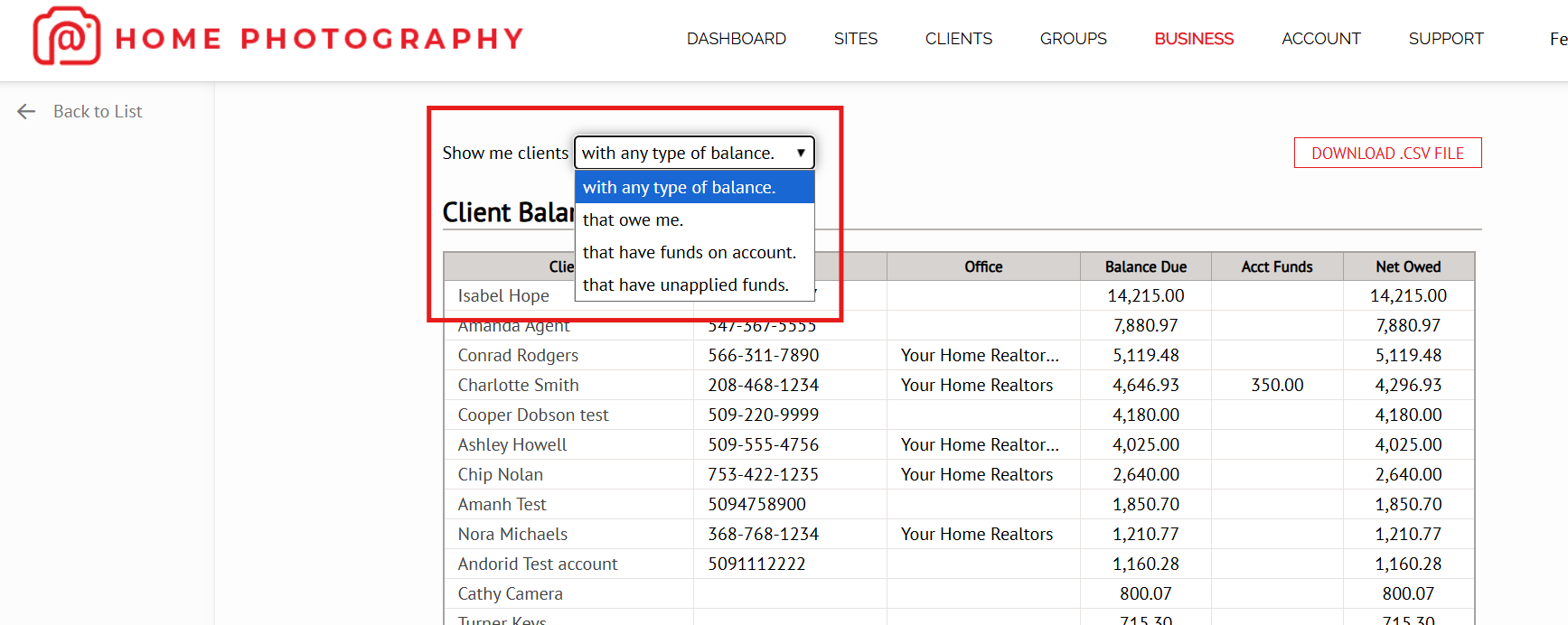 Accounts Receivable: Client Balance Report – HDPhotoHub